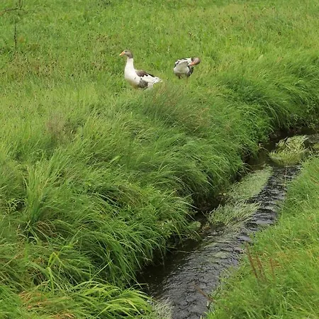 Landidyll Erbgericht Tautewalde
