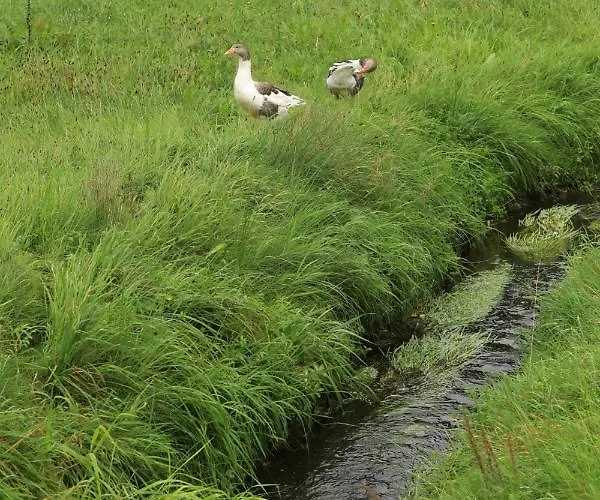 Landidyll Erbgericht Tautewalde